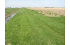 Property photo 17 - 172 Acres Offered in 3 Tracts - Prime Farmland